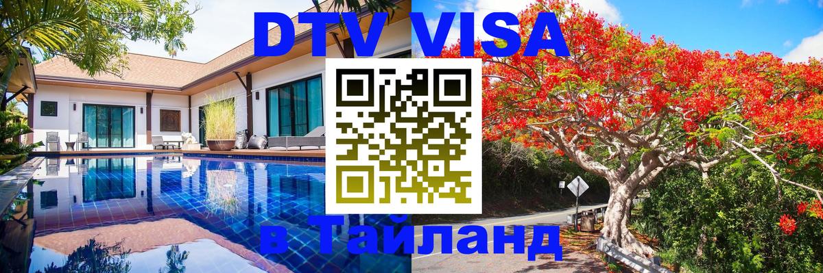 Оформление DTV визы под ключ: стоимость и тарифы, только загранпаспорт - 